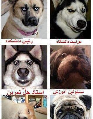عکس جوک خنده دار