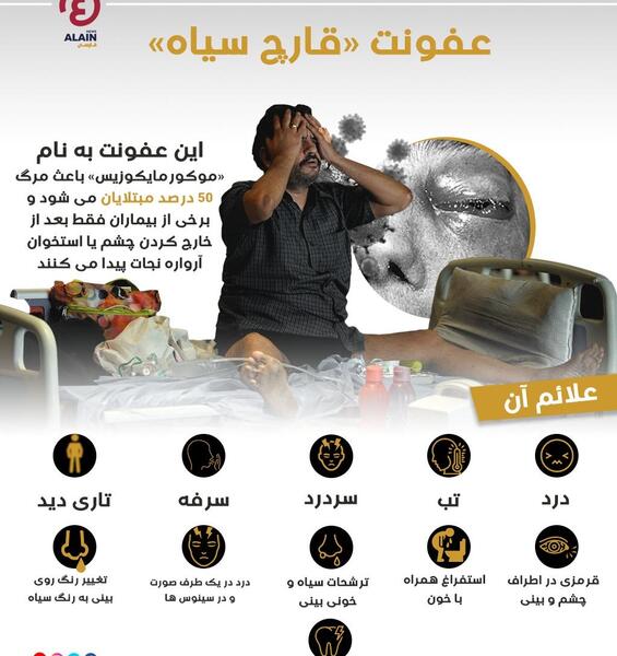 عکس کرونا قارچ سیاه چیست