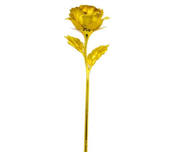 عکس گل رزگلد