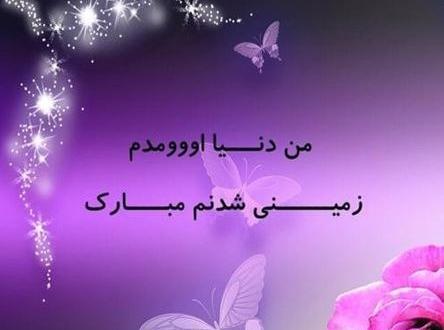 عکس گربه تولدم مبارک