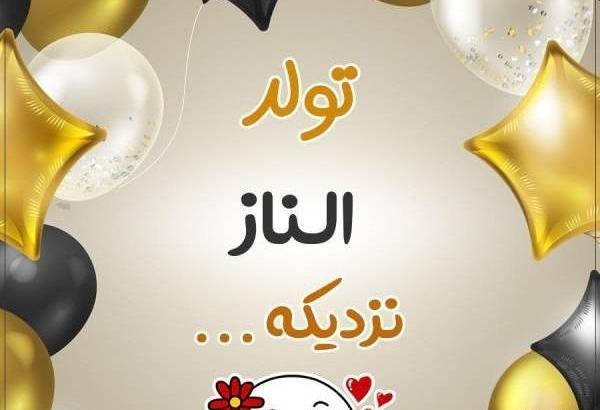 عکس الناز عزیزم تولدت مبارک