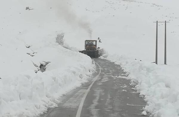 عکس های گردنه چری