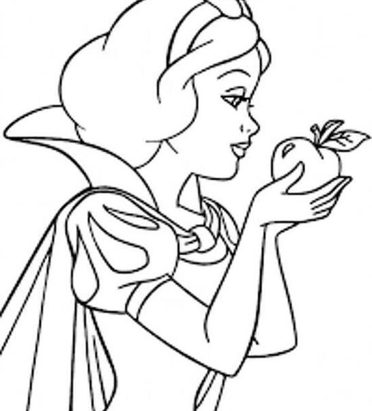 عکس سفید نقاشی