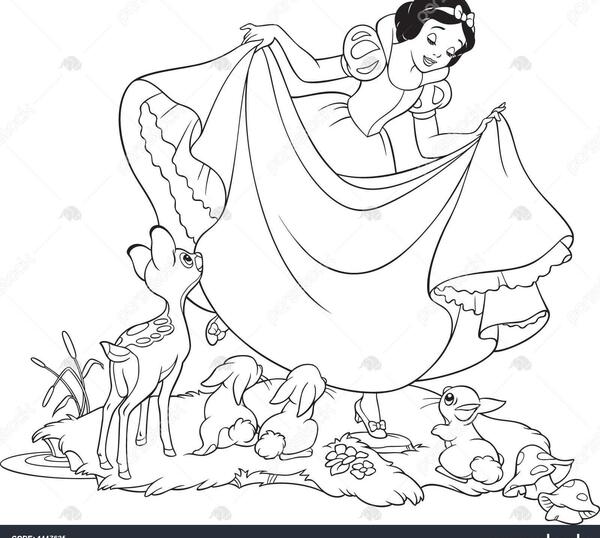 عکس سفید نقاشی