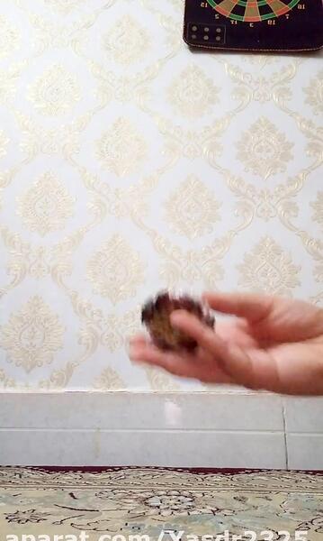 عکس فرفره های انفجاری افسانه آتش