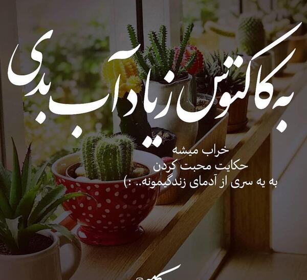 عکس فیک کاکتوس