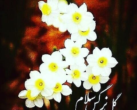 عکس زیبا از نیمه شعبان