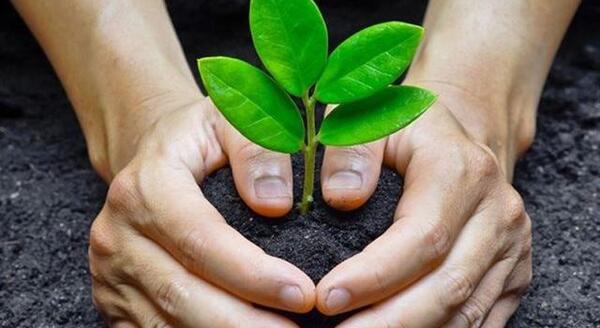 عکس آقای ثمرده