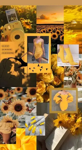 عکس کیوت چند تکه