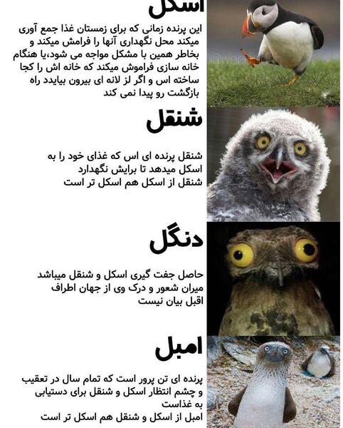 عکس حرف های گریه دار