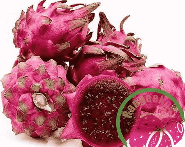 عکس از میوه ی کاکتوس