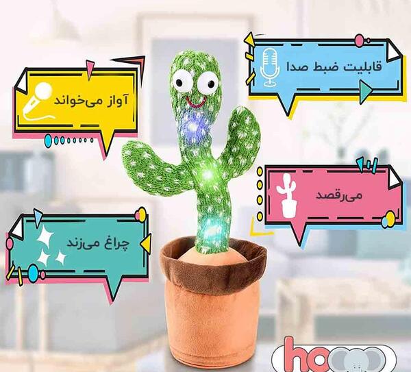عکس کاکتوس رقصنده