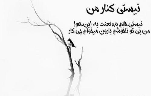 عکس نوشته تو نیمه دیگر من نیستی
