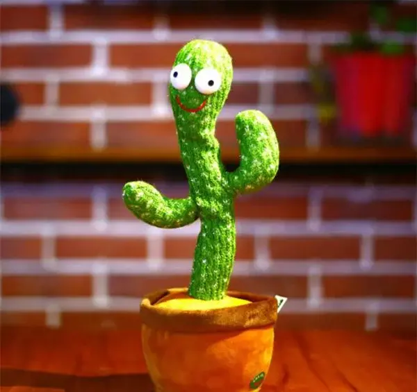 عکس کاکتوس خنده دار