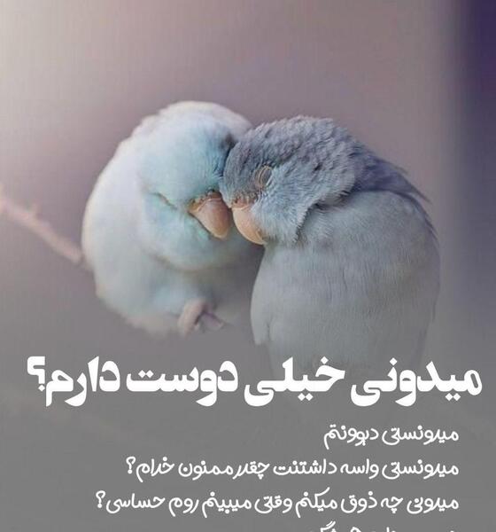 عکس نوشته مرگ همسر