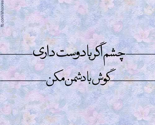 عکس قاسم شعله سعدی