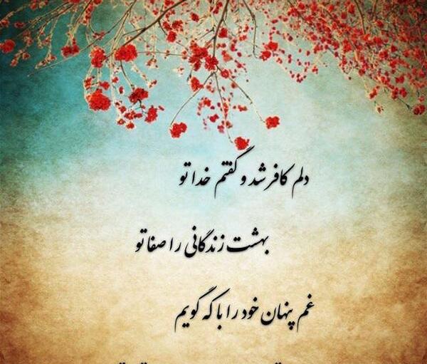 عکس قاسم شعله سعدی