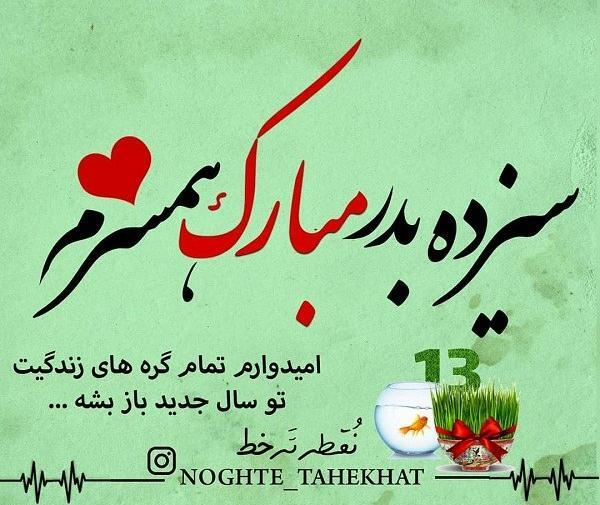 عکس سیزده بدر همسر