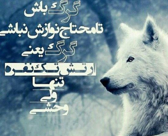 عکس نوشته گرگ باحال