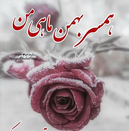عکس تولد شوهر بهمن ماهی