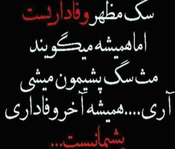 عکس نوشته سنگین تیکه انداختن