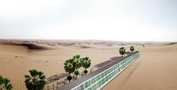 عکس های کویر عربستان