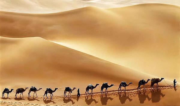 عکس های کویر عربستان