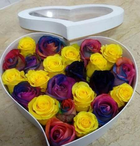 عکس گل جنی