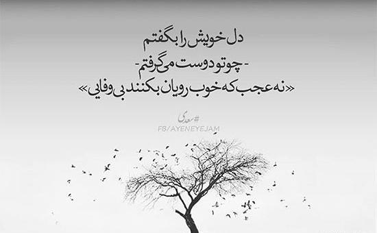 عکس نوشته شعر سپید