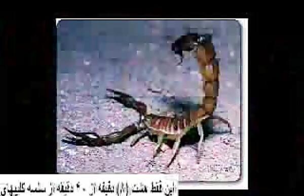 عکس قبر جهنم