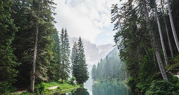 عکس نوشته طبیعت بهار