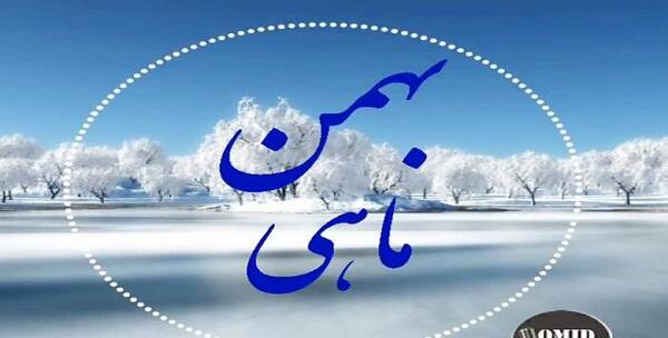 عکس تصاویر بهمن ماهی ها