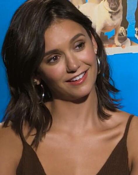عکس های ازدواج ایان سامرهالدر و نینا دوبرو