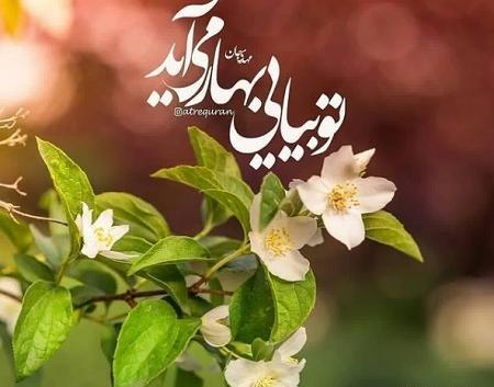 عکس پروفایل برای نیمه ی شعبان