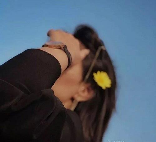نرم افزار دانلود عکس پروفایل اینستاگرام برای کامپیوتر
