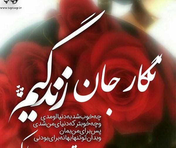 عکس تولدت مبارک دخترم نگار