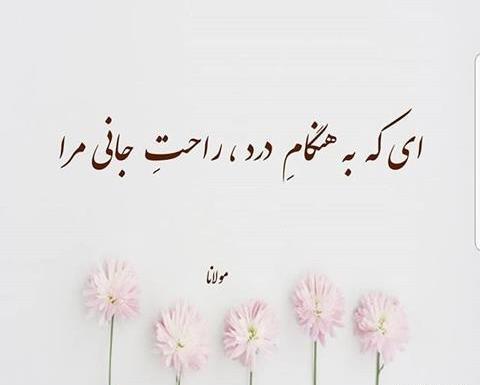 عکس نوشته ای که مرا خوانده ای