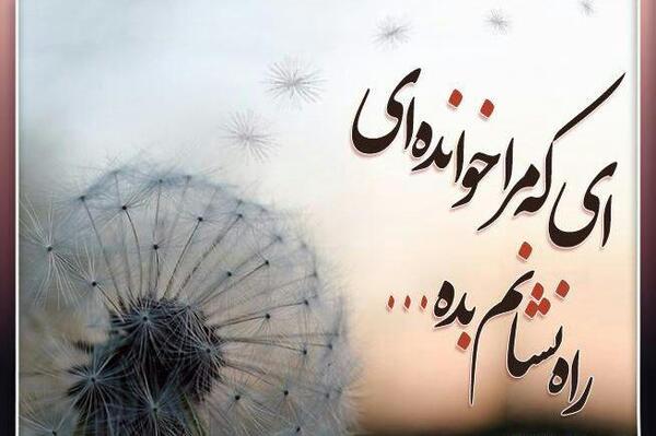 عکس نوشته ای که مرا خوانده ای