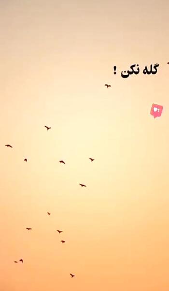 عکس نوشته ای که مرا خوانده ای