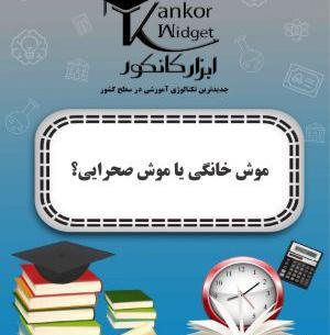 عکس موش خانگی زیبا