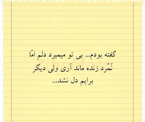 عکس نوشته گفته بودم میرم