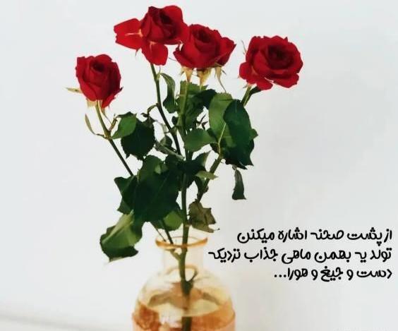 عکس تولد بهمن ماهی ها
