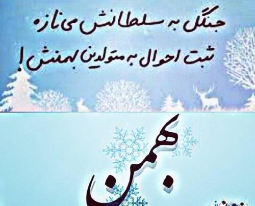 عکس تولد بهمن ماهی ها
