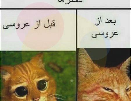 عکس نوشته ضدحال به دخترا