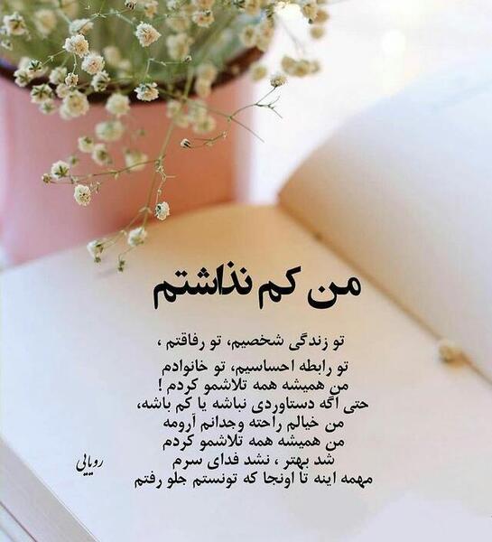 عکس نوشته من تلاشمو کردم