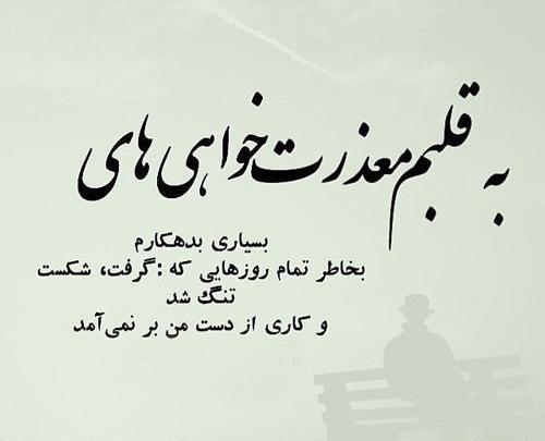 عکس نوشته من تلاشمو کردم