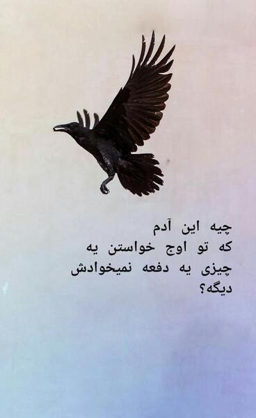 عکس نوشته من تلاشمو کردم