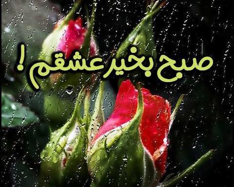 عکس نوشته روز بارانی بخیر