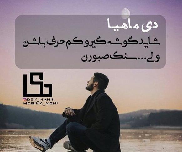 عکس دی ماهی جدید