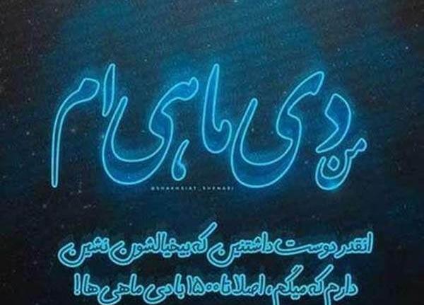 عکس دی ماهی جدید